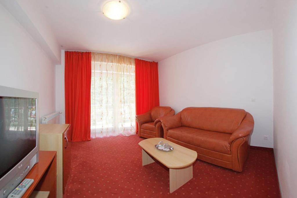 Hotel International Baile Herculane Bagian luar foto